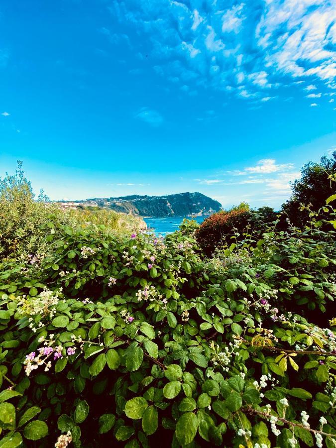 La Fortezza Forio di Ischia المظهر الخارجي الصورة